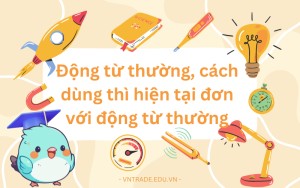 Động từ thường là gì