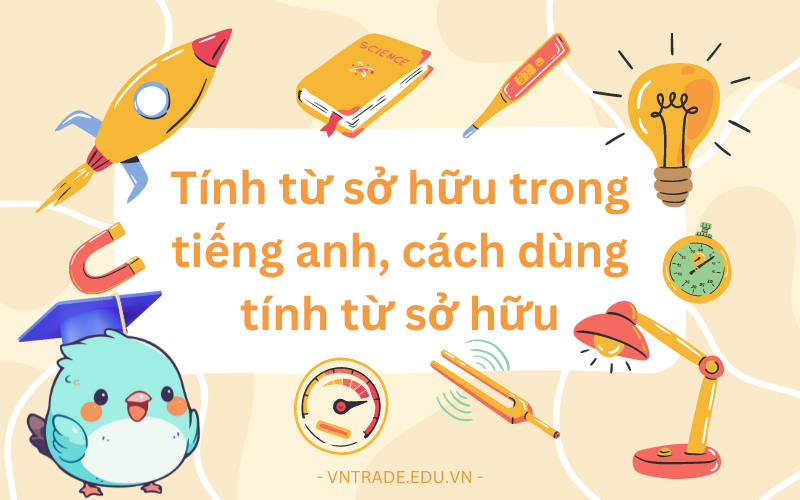 Tính từ sở hữu trong tiếng Anh