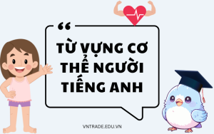 Tất tần tật từ vựng cơ thể người tiếng Anh đầy đủ nhất