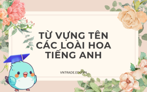 Tổng hợp 390 từ vựng tên các loài hoa tiếng Anh thông dụng
