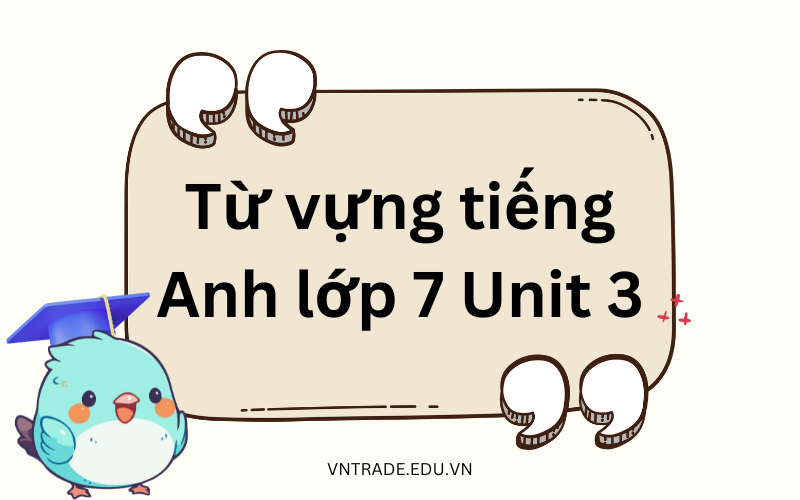 Tổng hợp từ vựng tiếng Anh lớp 7 Unit 3