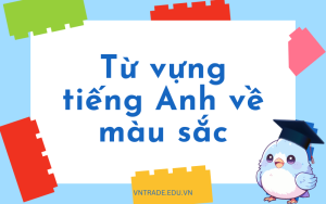 220 từ vựng tiếng Anh về màu sắc