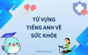 Học ngay 150+ từ vựng tiếng Anh về sức khỏe