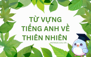 230 từ vựng tiếng Anh về thiên nhiên 