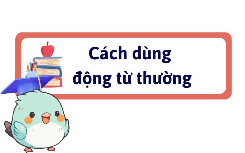 Cách dùng các loại động từ thường