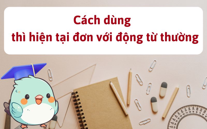 Cách dùng thì hiện tại đơn với động từ thường