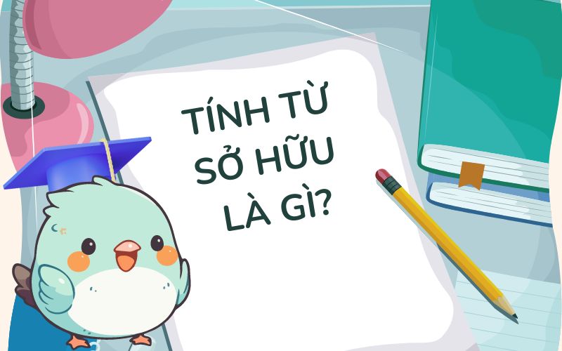 Tính từ sở hữu (Possessive Adjectives)