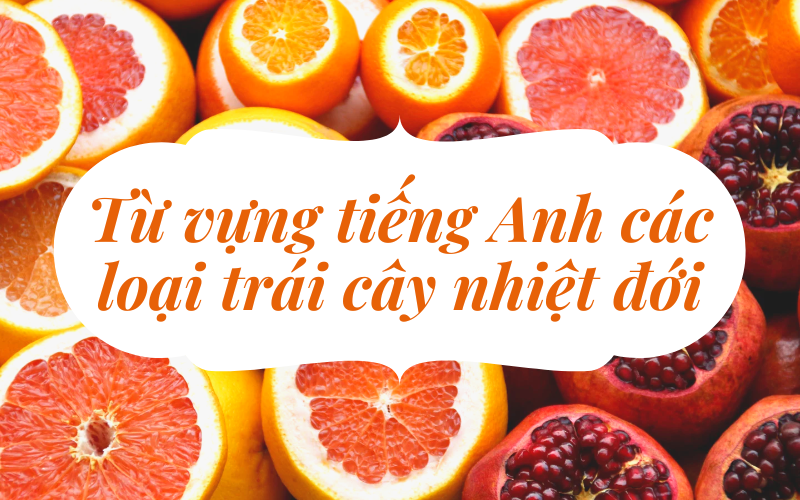 Từ vựng tiếng Anh các loại trái cây nhiệt đới