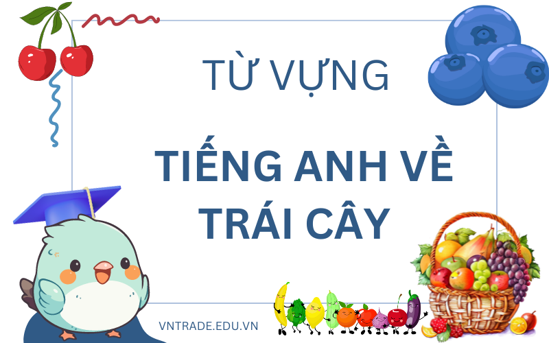 Từ vựng tiếng Anh các loại trái cây
