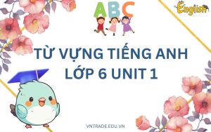 Từ vựng tiếng anh lớp 6 unit 1