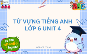 Từ vựng tiếng Anh lớp 6 Unit 4