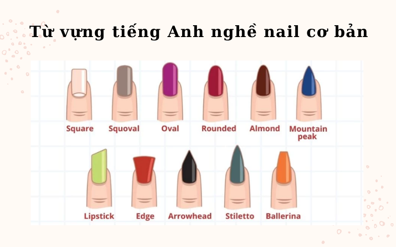 Từ vựng tiếng Anh nghề nail cơ bản