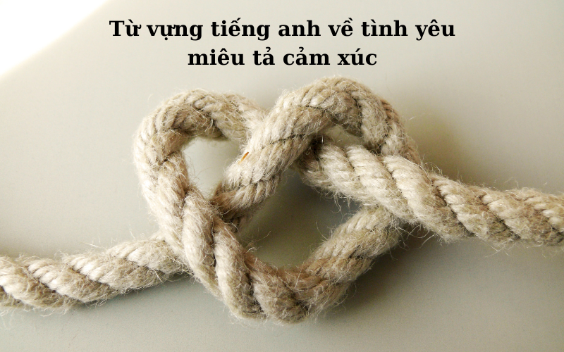 Từ vựng tiếng anh về tình yêu miêu tả cảm xúc