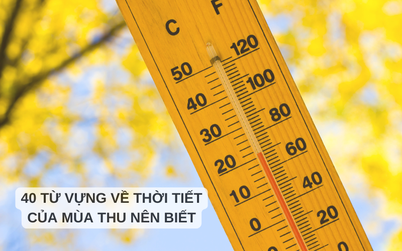 40 từ vựng về thời tiết của mùa thu nên biết