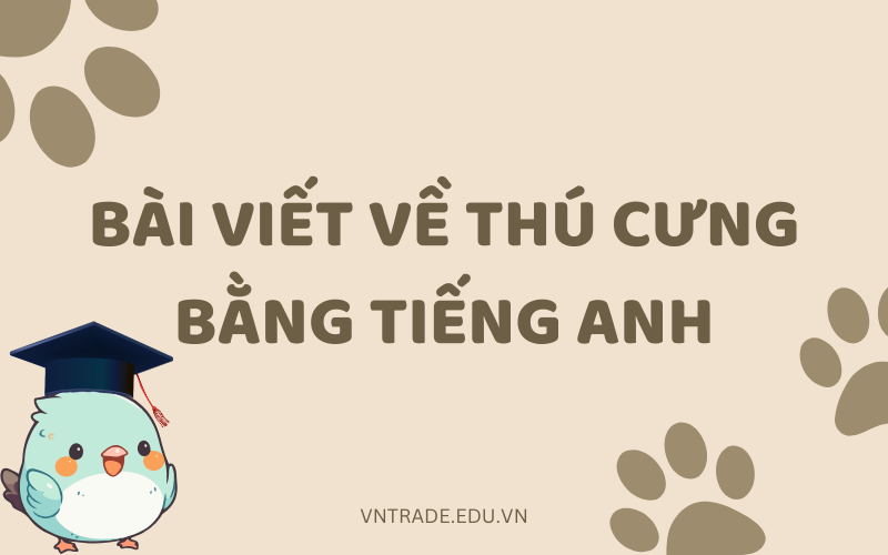 Bài viết về thú cưng bằng tiếng Anh