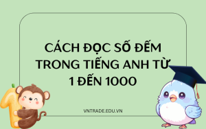 Cách đọc số đếm trong tiếng Anh từ 1 đến 1000