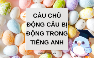 Câu chủ động câu bị động trong tiếng Anh