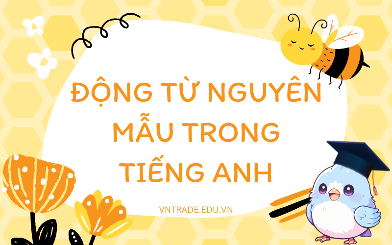 Động từ nguyên mẫu trong tiếng Anh 