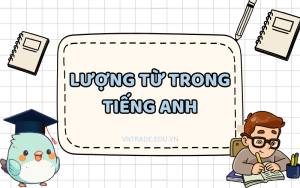 Lượng từ trong tiếng Anh