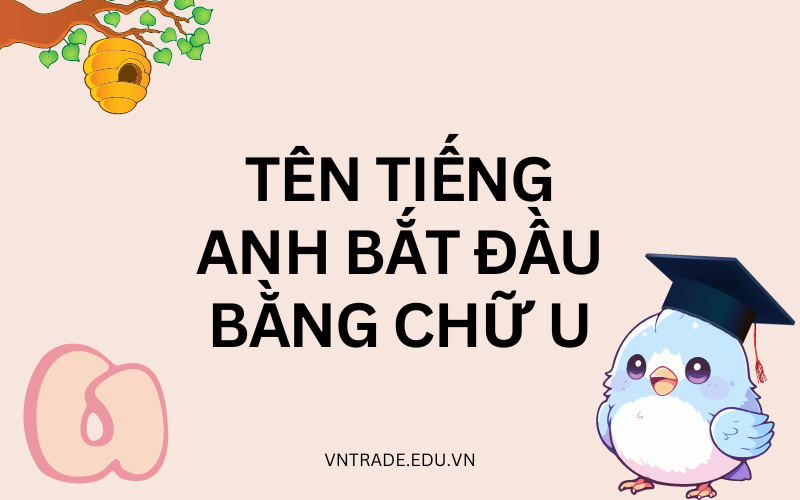 Tên tiếng Anh bắt đầu bằng chữ U