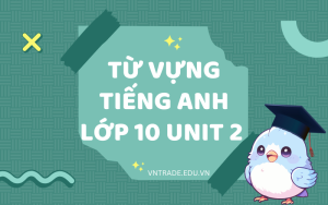 Từ vựng tiếng Anh lớp 10 Unit 2