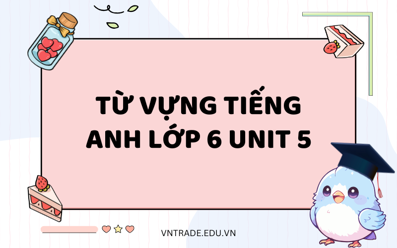 Từ vựng tiếng Anh lớp 6 Unit 5