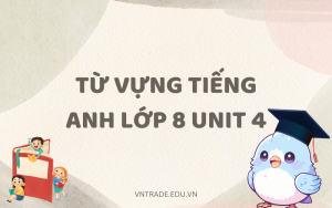 Từ vựng tiếng Anh lớp 8 Unit 4