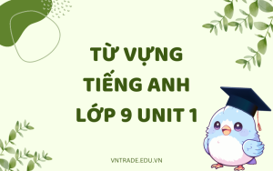 Từ vựng tiếng Anh lớp 9 Unit 1