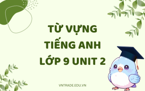 Từ vựng tiếng Anh lớp 9 Unit 2
