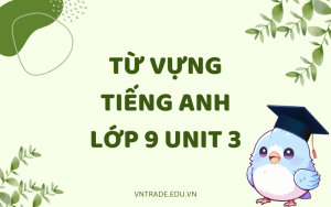 Từ vựng tiếng Anh lớp 9 unit 3