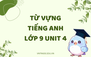 Từ vựng tiếng Anh 9 Unit 4 đầy đủ nhất