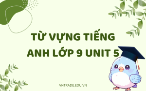 Từ vựng tiếng Anh lớp 9 Unit 5