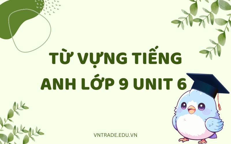 Từ vựng tiếng Anh lớp 9 Unit 6 The Environment