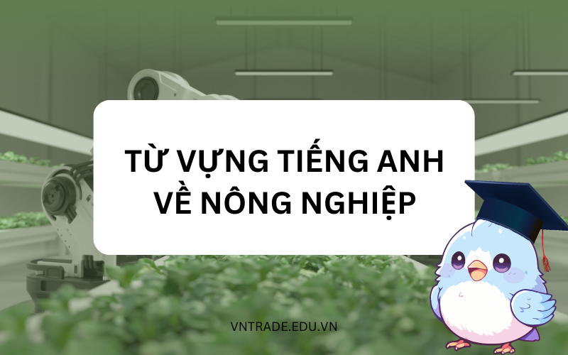 Từ vựng tiếng Anh về nông nghiệp
