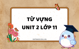Từ vựng Unit 2 lớp 11 Global success