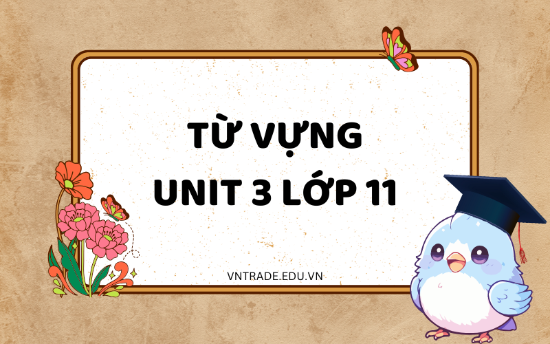 Từ vựng Unit 3 lớp 11