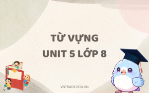 Từ vựng Unit 5 lớp 8