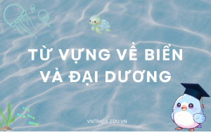 Từ vựng về biển