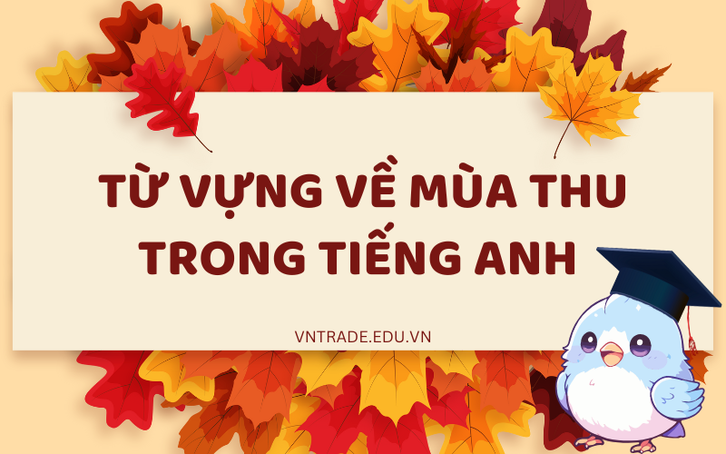 Bỏ túi ngay bộ từ vựng về mùa thu trong tiếng Anh hay nhất