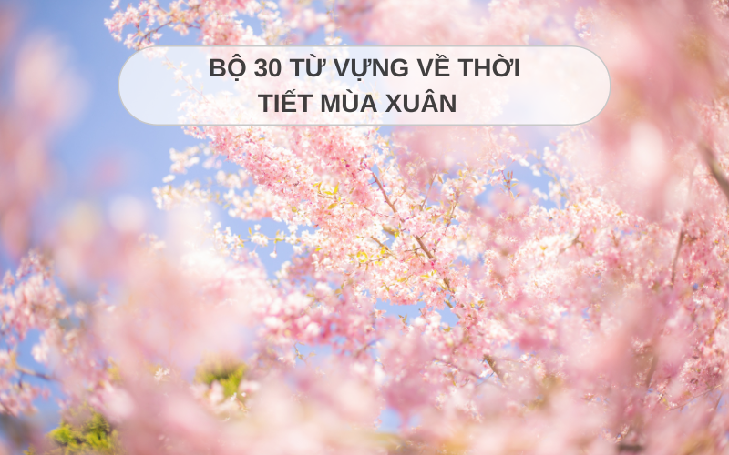 Bộ 30 từ vựng về thời tiết mùa Xuân  