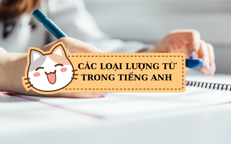 Các loại lượng từ trong Tiếng Anh