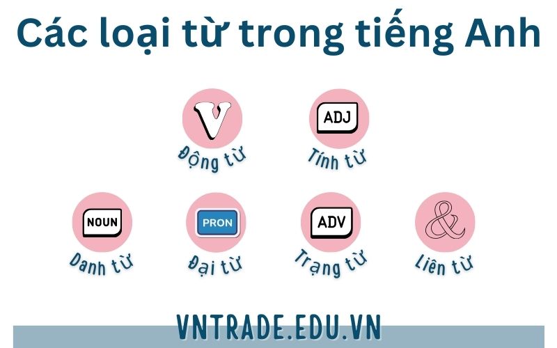 Các loại từ trong tiếng Anh