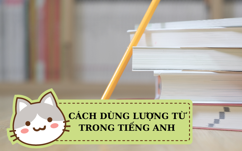 Cách dùng lượng từ trong tiếng Anh