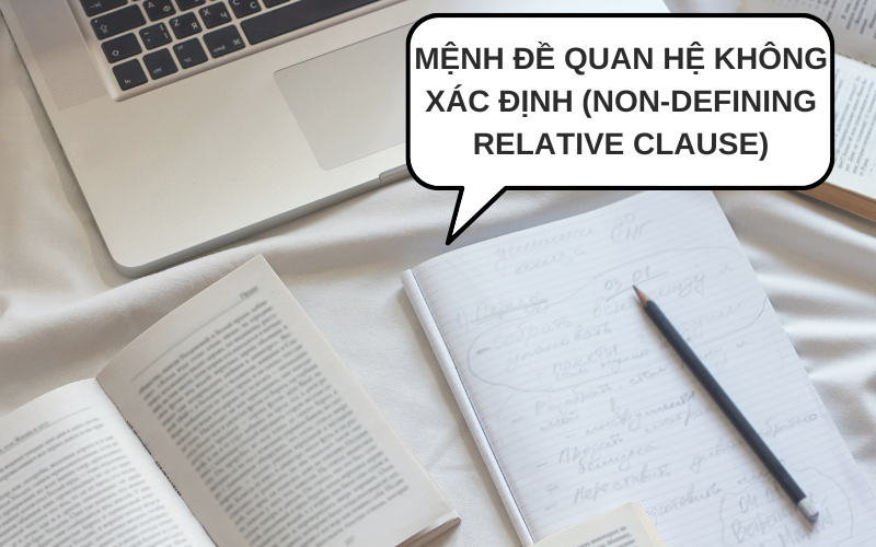 Mệnh đề quan hệ không xác định (Non-defining relative clause)