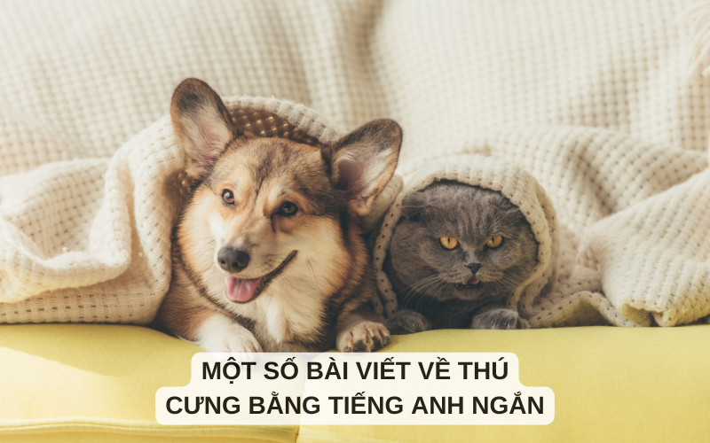 Một số bài viết về thú cưng bằng tiếng Anh ngắn