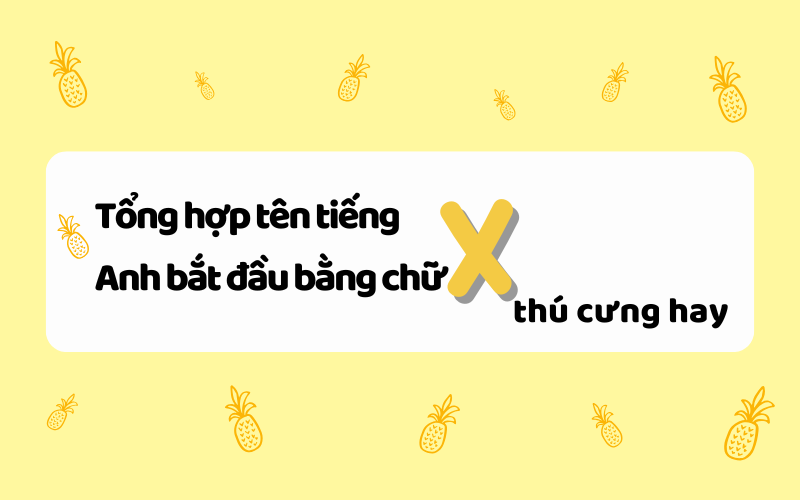 Tổng hợp tên tiếng Anh bắt đầu bằng chữ X thú cưng hay