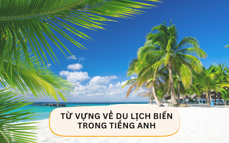 Từ vựng về du lịch biển trong tiếng Anh