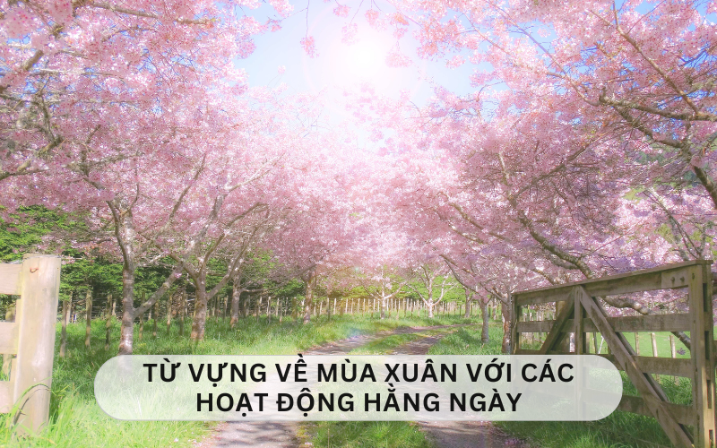 Từ vựng về mùa Xuân với các hoạt động hằng ngày