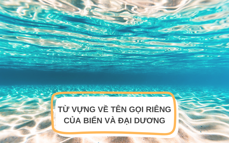 Từ vựng về tên gọi riêng của biển và đại dương