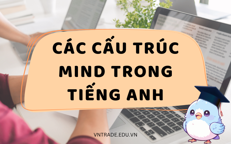 Cấu trúc Mind